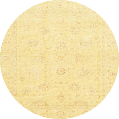 Oriental Indoor Rug