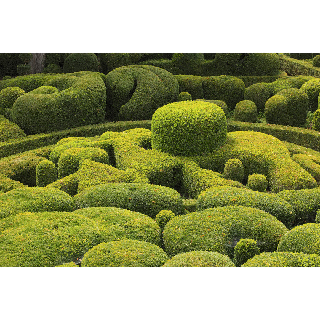 Topiary Gardens Of Marqueyssac von GAPS - Kunstdrucke auf Leinwand