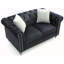 Stylish Contemporary Loveseat In Black-926710298