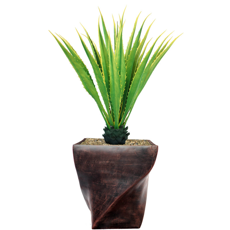 Agave Panama Real Touch