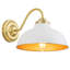 Iron Armed Sconce