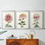 «Chrysanthemum Woodblock I», impression encadrée sur mesure de qualité supérieure, mat, 3 pièces-356641948