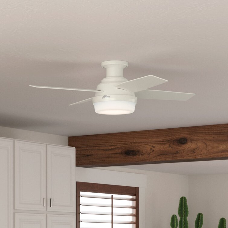 Hunter Fan 44" Dempsey Low - Blade LED Flush Mount Ceiling Fan with Remote Control and Light Kit & Reviews | Wayfair