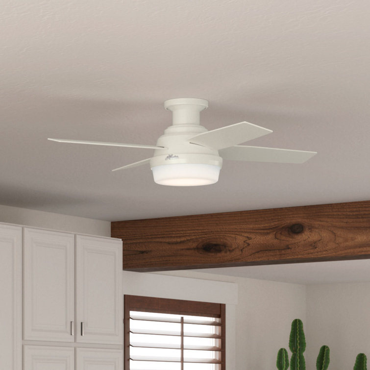Dempsey Low Profile 44" 4 - Blade Indoor Flush Mount Small Room Ceiling Fan with Lights and Remote