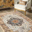 Machine Washable Traditional Vintage Area Rug in Beige-1461140837