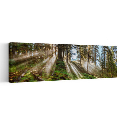 Sun Rays Passing Through Trees In Forest Southeast Alaska Alaska USA by Tom Sheckels - Wrapped Canvas Panoramic Print