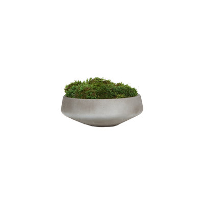 Mood Moss in Large Newport Bowl