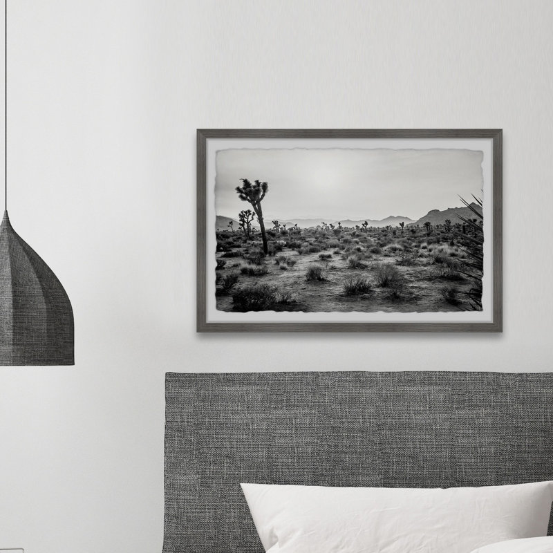 Joshua Trees - Single Picture Frame Print, 20cm H x 30cm W x 3.81cm D
