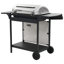 Symple Stuff 6 - Burner Portable Liquid Propane Gas Grill-89258472