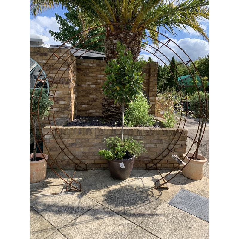 Baela 238.8cm W x 66cm D Arbour, Brown