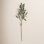 Olive Floral Stems