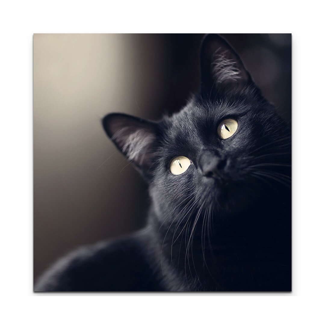 Leinwandbild Schwarze Katze - Portrait