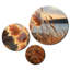 Wall Decor on Metal