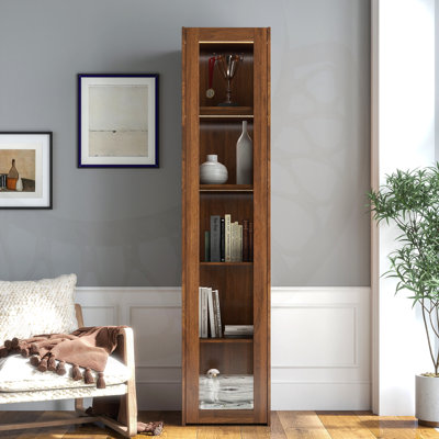 Vitrine à porte en acrylique avec 5 tablettes et lumières DEL, parfaite pour mettre en valeur des objets de collection et rehausser la décoration intérieure