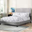 Lit tapissier standard à profil bas Hazelynn-668478339-668478341