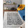 Akins Oriental Indoor Rug