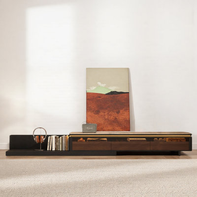 Creative Stretching TV Stand