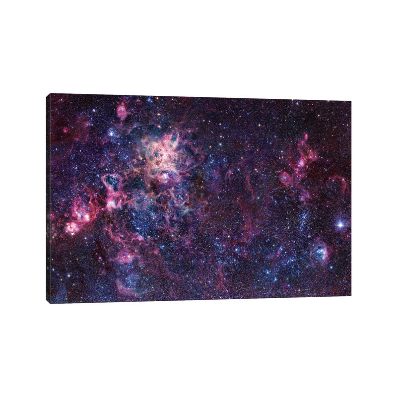 The Tarantula Nebula Mosaic (NGC 2070) by Robert Gendler - Wrapped Canvas Gallery-Wrapped Canvas Giclée