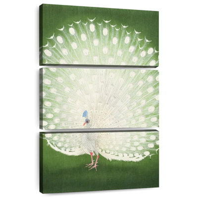 Peacock 1925-1936