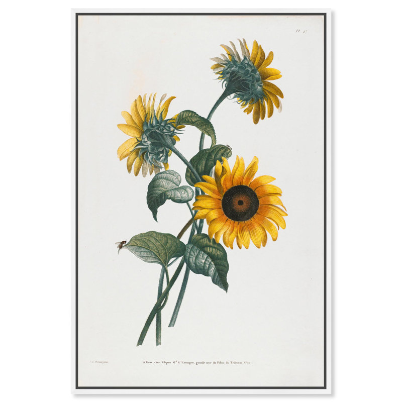 Art Remedy, impressions sur toile, tournesol, H 25 po x l 17 po, Cadre flottant blanc