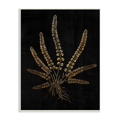 Illustration vintage de plantes enracinées de fougères par Daphne Polselli