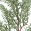 SEASONAL GREENERY STEM S/6 CEDAR 20IN