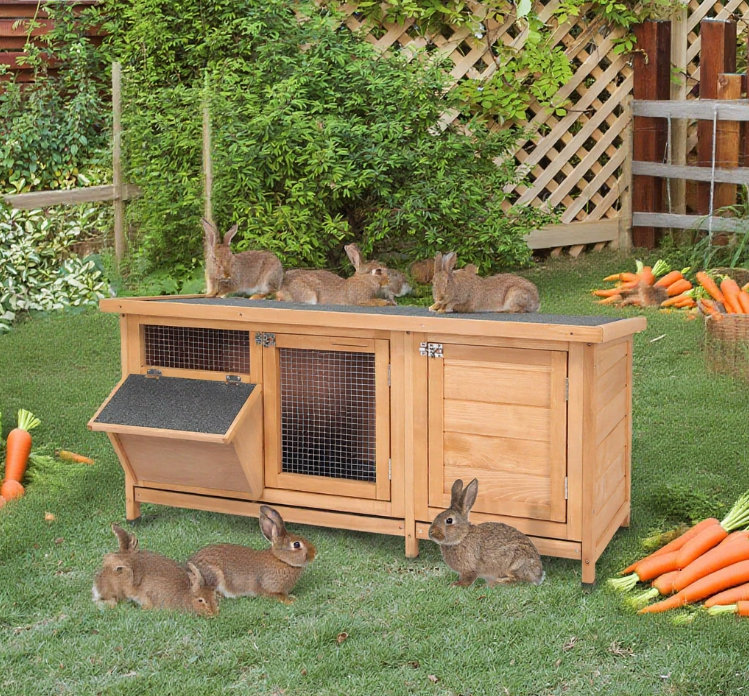 Cage à lapin, Jaune
