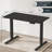 Electric Standing Desk-1036081945