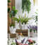 Ciment antique gris de 9 pouces acceptant les mains de 2 pour une plante d'intérieur ou une bougie en vitrine décorative