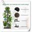 Plant Stand 5 Tier 6 Potted Indoor Plant Shelf Multiple Stands For Garden Corner Balcony Living Room