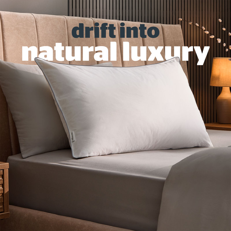 Silentnight Goose Feather and Down Pillow Pair