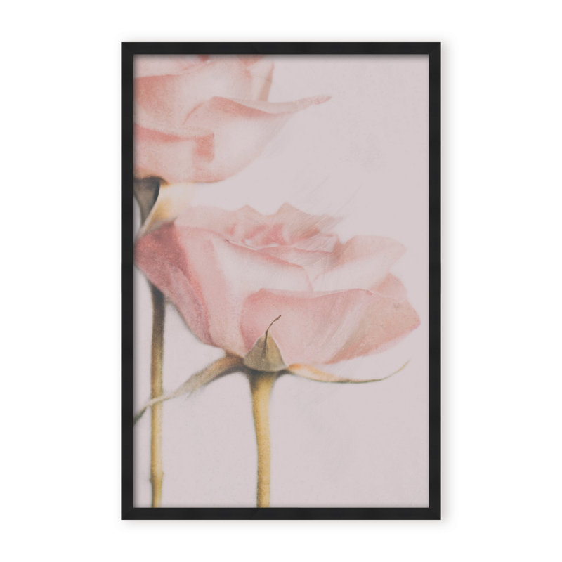 Nature Inspired Two Roses by  - Picture Frame Photograph on Paper, 36" H x 24" W x 1.125" D, Black, Framed Matted Print