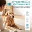 Lingettes pour chiens et chats