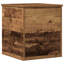 Camp Trunk / Footlocker-129590108