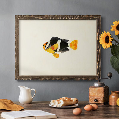 Collection de poissons tropicaux II - reproduction d'un seul cadre photo sur toile