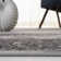 Oriental Performance Oriental Rug
