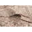 Noack Brown Rug