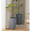 Ensemble de 2 pots à fleurs hauts et ronds-878031881-848505875