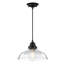 Luminaire suspendu en forme de dôme à 1 lumière Iron Hill-1440687726-1440687727