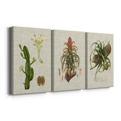 Elegant Tropicals III - Toile tendue avec châssis sur mesure - 3 pièces
