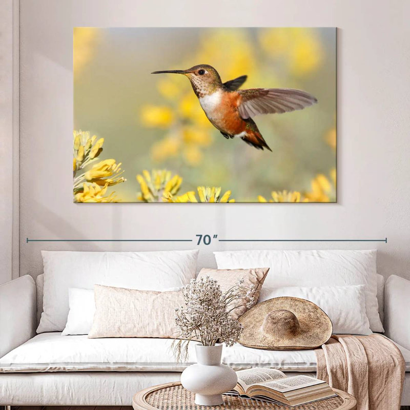 Colibri de Brampt Allen, H 34 po x l 51 po