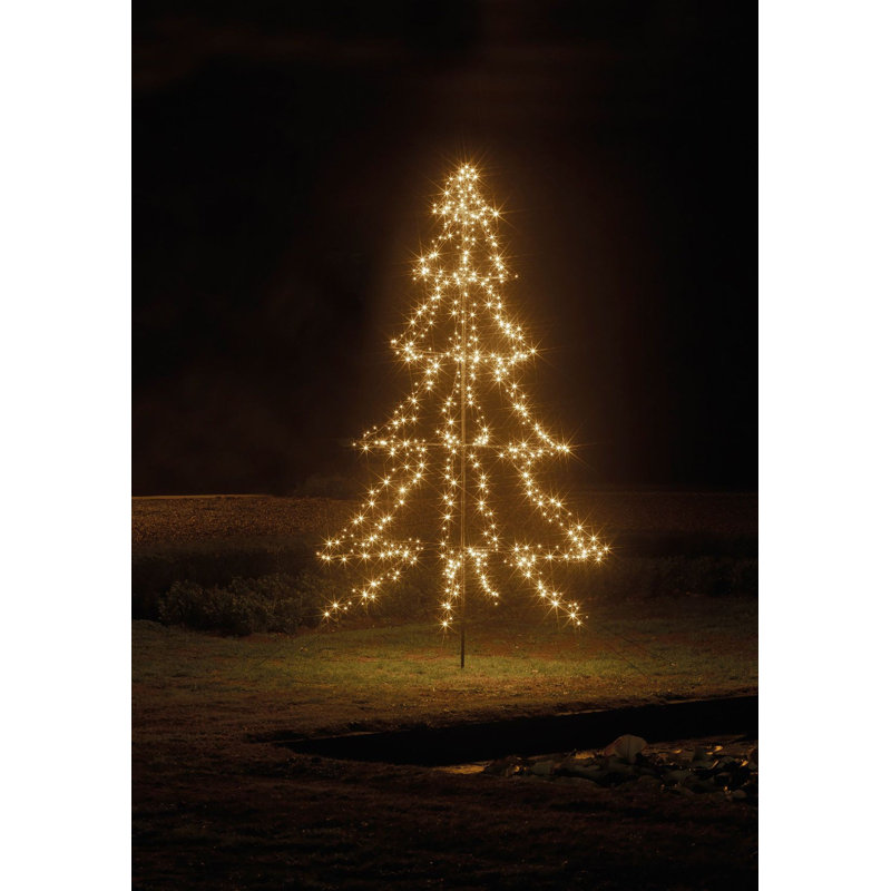 Lighted Trees & Branches