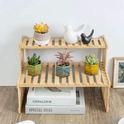 Natural Bamboo Indoor Plant Table Stand, 2-Tier Desktop Shelf Organizer, Office Desktop Decoration