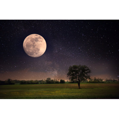 Lune et arbre - impression sur toile tendue