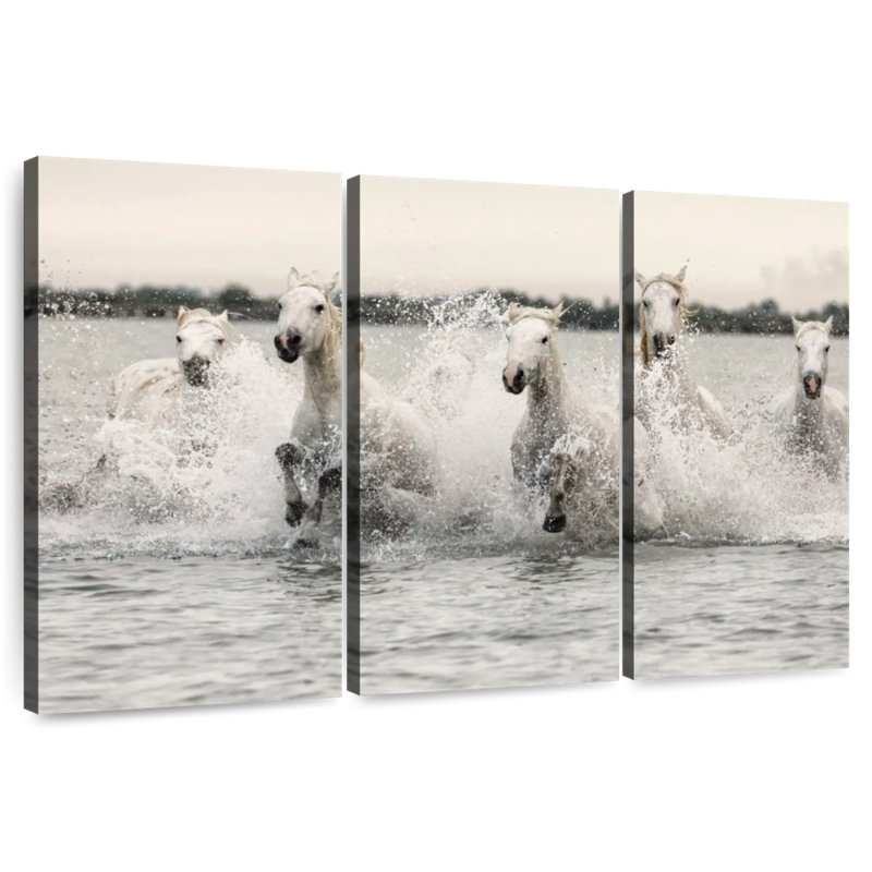 Chevaux de Camargue blancs qui courent sur la plage III, H 48 po x l 74 po