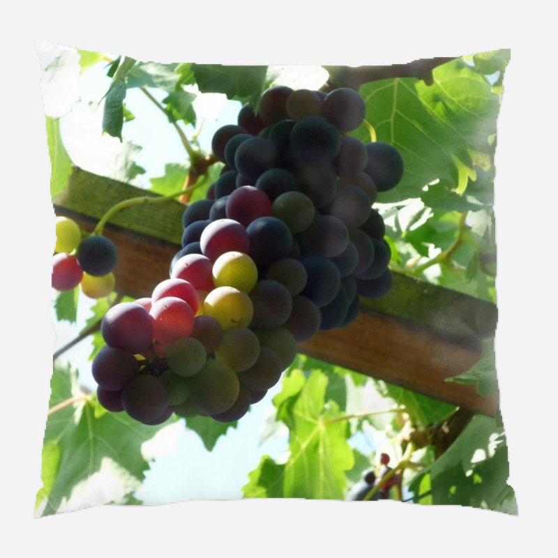 Coussin décoratif intérieur/extérieur raisins