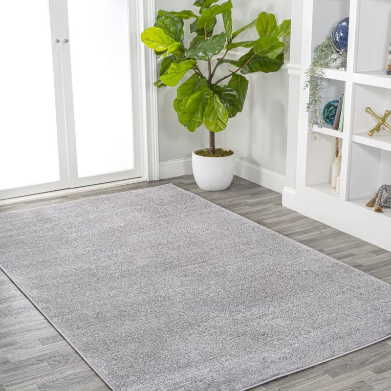 Asaiah Solid Low-Pile Light Gray Rug, Rectangle 4' x 6'