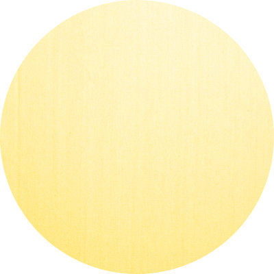 Performance Ombre Indoor Rug
