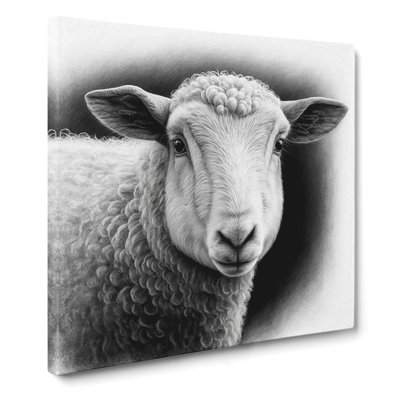 Sheep - Wrapped Canvas - Framed Print