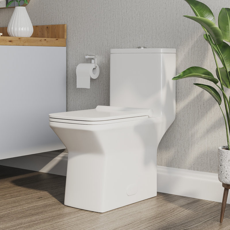 Toilette monobloc Ace